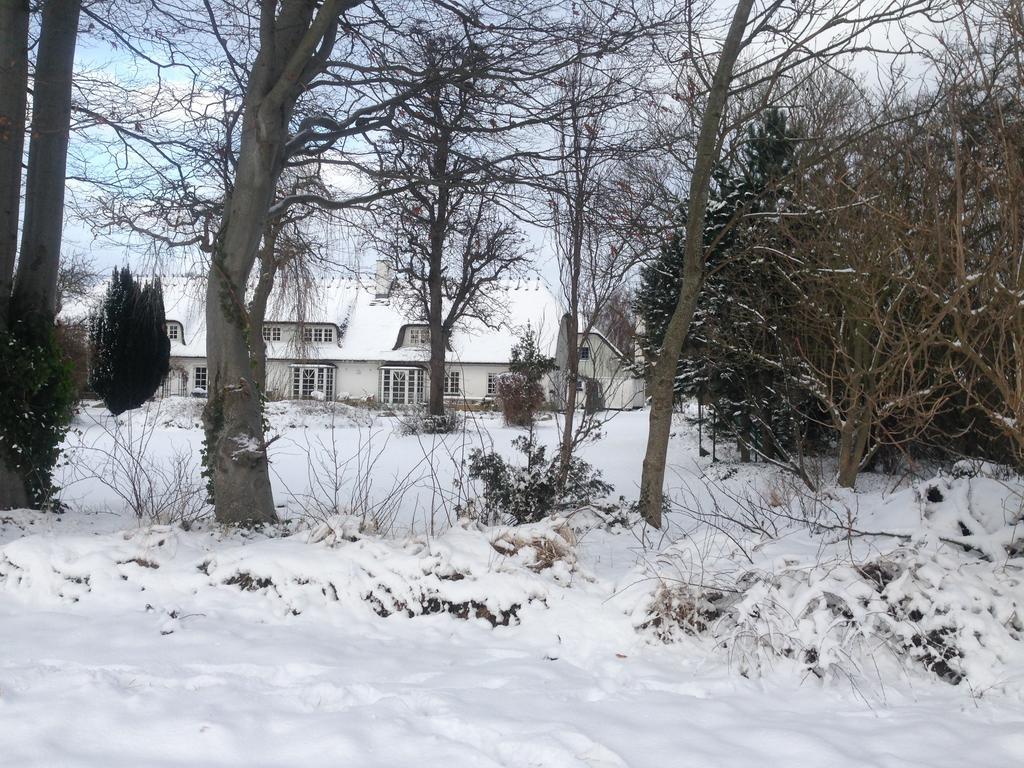 Penzion Rane Ladegaard Ebeltoft Exteriér fotografie